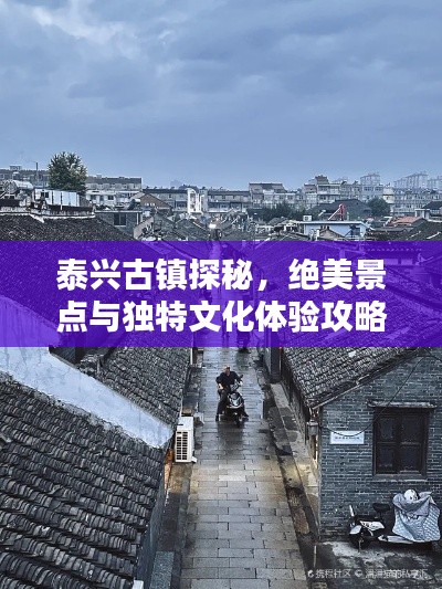 投诉与建议 第4页