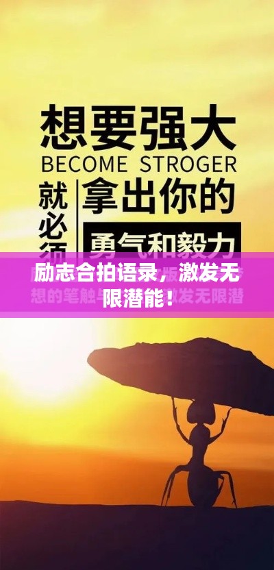 张冠李戴
