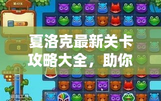 新手上路 第5页