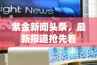紫金新闻头条，最新报道抢先看