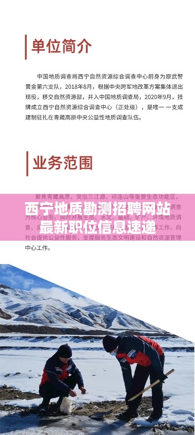西宁地质勘测招聘网站最新职位信息速递
