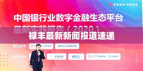 禄丰最新新闻报道速递