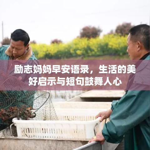 励志妈妈早安语录，生活的美好启示与短句鼓舞人心