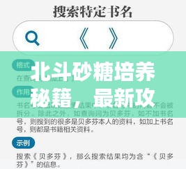 北斗砂糖培养秘籍，最新攻略助你成为砂糖培养达人！