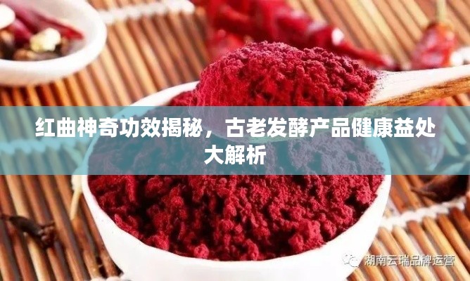 红曲神奇功效揭秘，古老发酵产品健康益处大解析