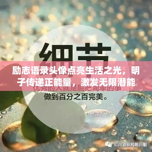 励志语录头像点亮生活之光，明子传递正能量，激发无限潜能