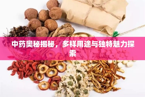 中药奥秘揭秘，多样用途与独特魅力探索