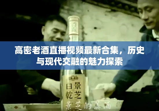 高密老酒直播视频最新合集，历史与现代交融的魅力探索