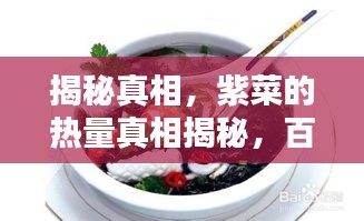 揭秘真相，紫菜的热量真相揭秘，百度权威收录标题