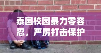 泰国校园暴力零容忍，严厉打击保护学生安全最新动态