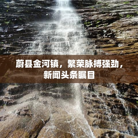 蔚县金河镇，繁荣脉搏强劲，新闻头条瞩目