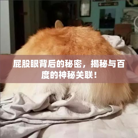 屁股眼背后的秘密，揭秘与百度的神秘关联！