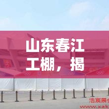 山东春江工棚，揭秘设计与应用的奥秘