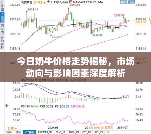 今日奶牛价格走势揭秘，市场动向与影响因素深度解析