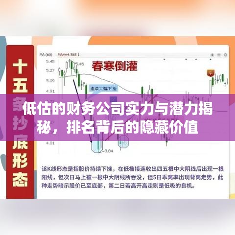 低估的财务公司实力与潜力揭秘，排名背后的隐藏价值