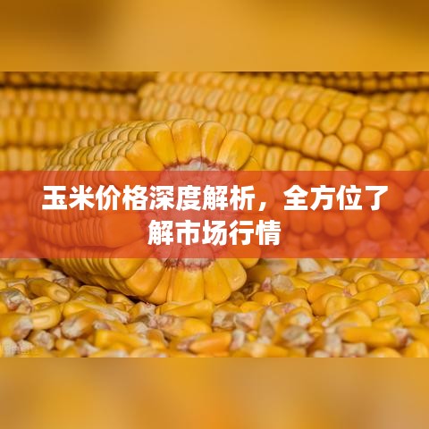 玉米价格深度解析，全方位了解市场行情
