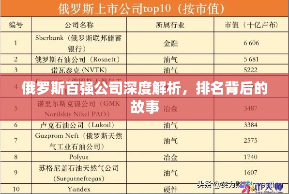 俄罗斯百强公司深度解析，排名背后的故事