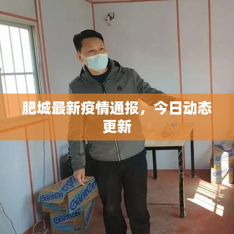 肥城最新疫情通报，今日动态更新