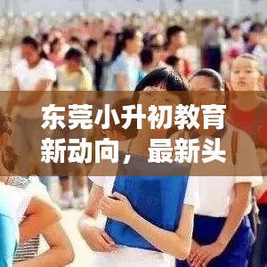 东莞小升初教育新动向，最新头条新闻解析