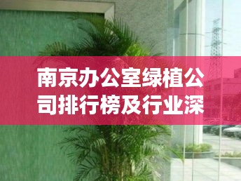 南京办公室绿植公司排行榜及行业深度剖析