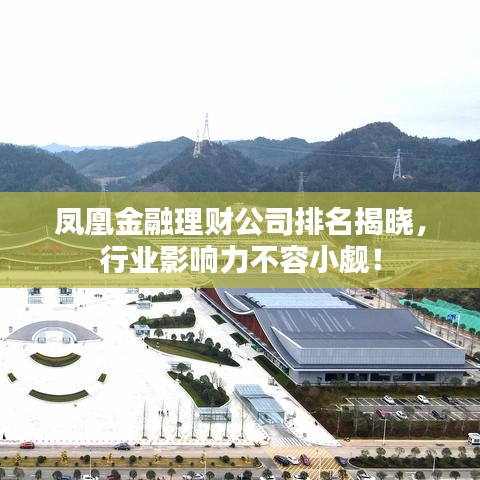 凤凰金融理财公司排名揭晓，行业影响力不容小觑！