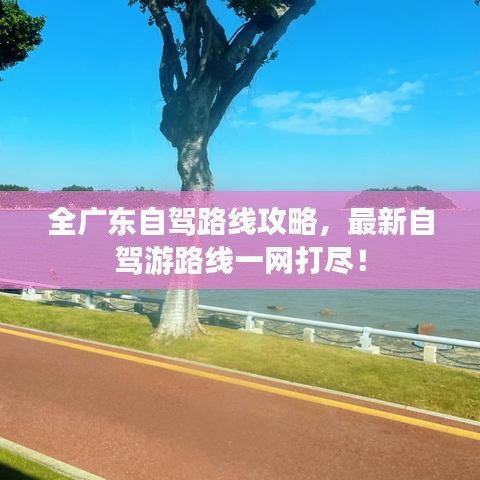 全广东自驾路线攻略，最新自驾游路线一网打尽！