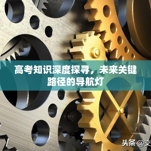 高考知识深度探寻，未来关键路径的导航灯