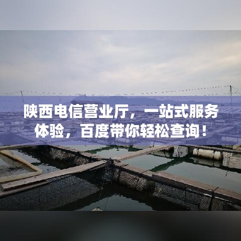 陕西电信营业厅，一站式服务体验，百度带你轻松查询！