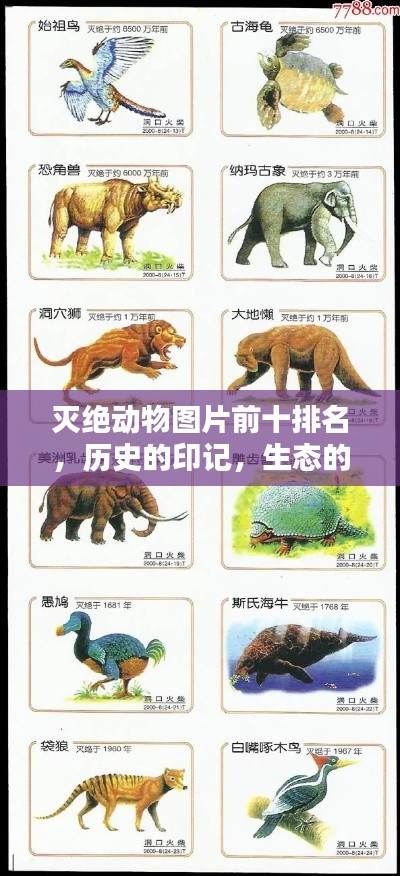 灭绝动物图片前十排名，历史的印记，生态的警钟！