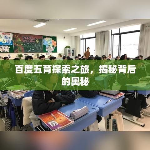 百度五育探索之旅，揭秘背后的奥秘