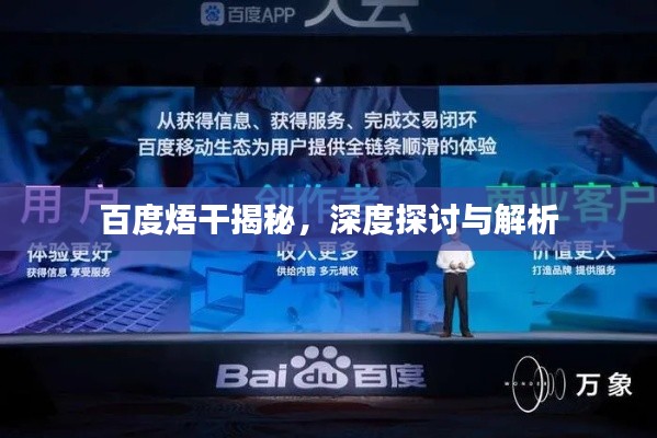 百度焐干揭秘，深度探讨与解析
