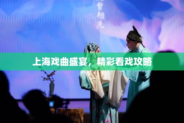 上海戏曲盛宴，精彩看戏攻略