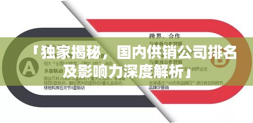 「独家揭秘，国内供销公司排名及影响力深度解析」