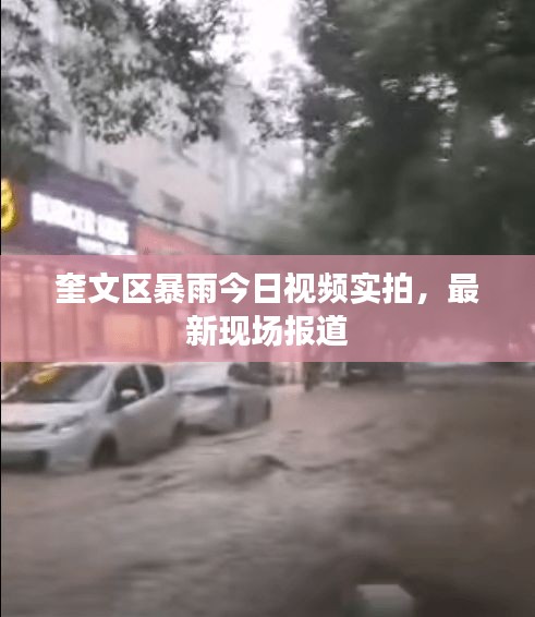 秀外慧中