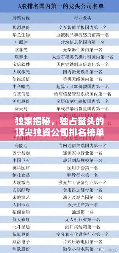 独家揭秘，独占鳌头的顶尖独资公司排名榜单！