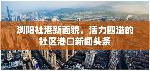 浏阳社港新面貌，活力四溢的社区港口新闻头条
