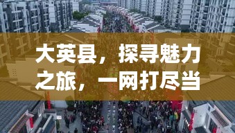 如鸟兽散