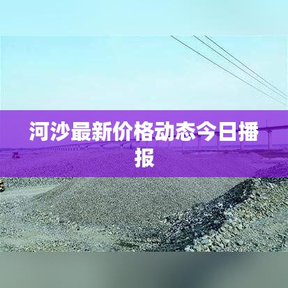 河沙最新价格动态今日播报