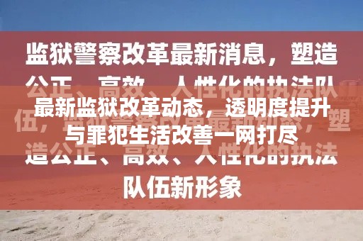 最新监狱改革动态，透明度提升与罪犯生活改善一网打尽
