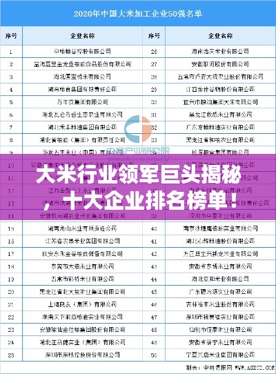 眉目如画
