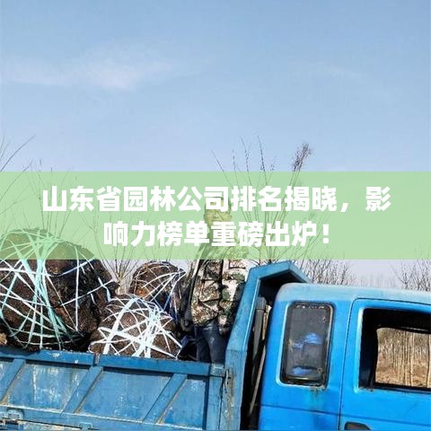 山东省园林公司排名揭晓，影响力榜单重磅出炉！