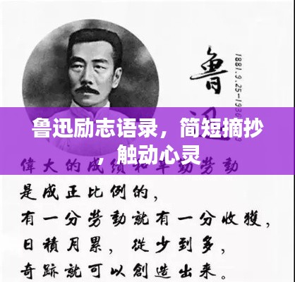 鲁迅励志语录，简短摘抄，触动心灵