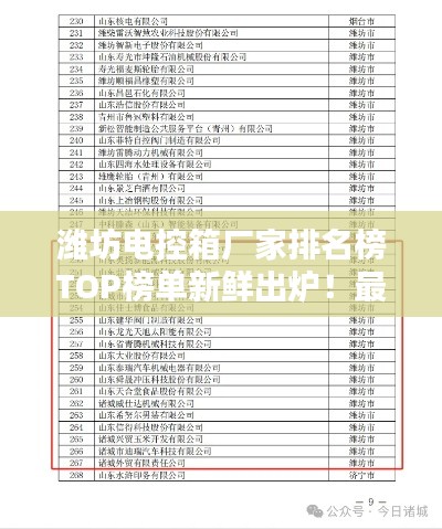 潍坊电控箱厂家排名榜TOP榜单新鲜出炉！最新排名榜单揭晓