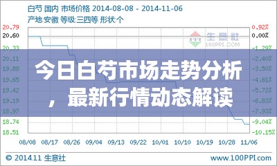 今日白芍市场走势分析，最新行情动态解读
