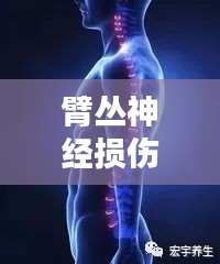 臂丛神经损伤深度解析，百度带你探索治疗之道