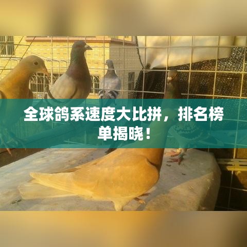 后会难期
