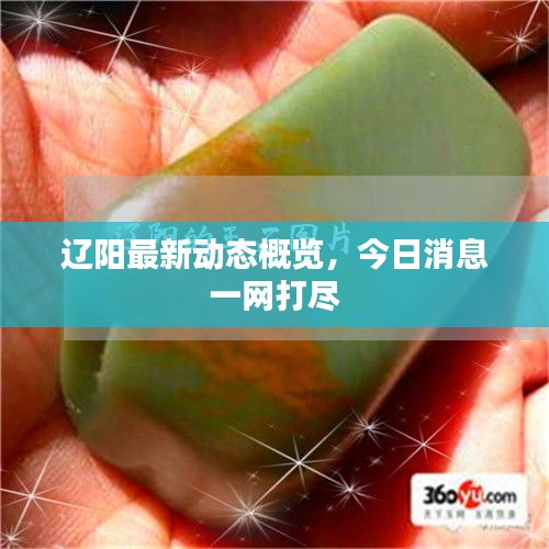 七贵三公