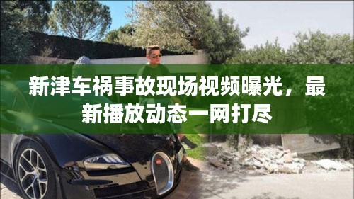难能可贵