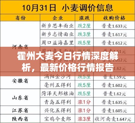霍州大麦今日行情深度解析，最新价格行情报告