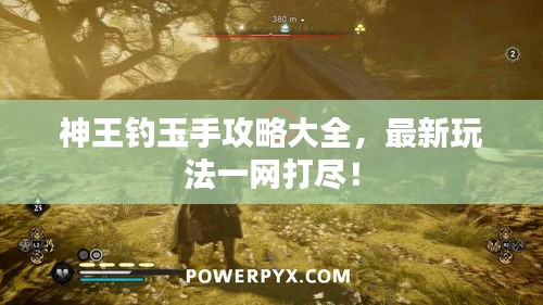 神王钓玉手攻略大全，最新玩法一网打尽！